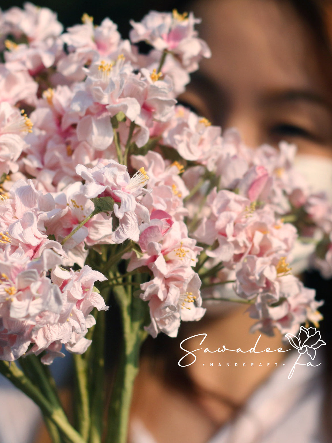 八重櫻花 Sakura Bloom