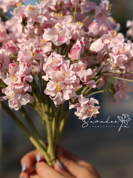 八重櫻花 Sakura Bloom